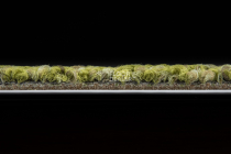 Desso Marvel 7073 фото 5 | FLOORDEALER